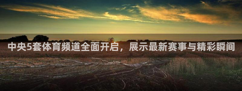 88看球nba直播免费下载：中央5套体育频道全面开启，展示最新赛事与精彩瞬间