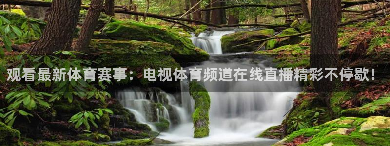 88看球nba直播免费下载：观看最新体育赛事：电视体育频道在线直播精彩不停歇！