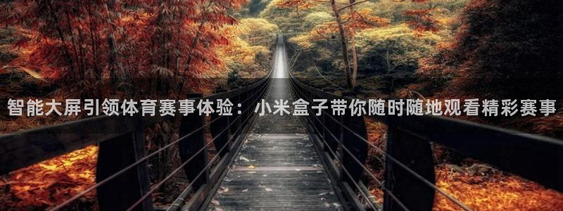 足球直播_篮球直播_免费在线看 | 88看球：智能大屏引领体育赛事体验：小米盒子带你随时随地观看精彩赛事