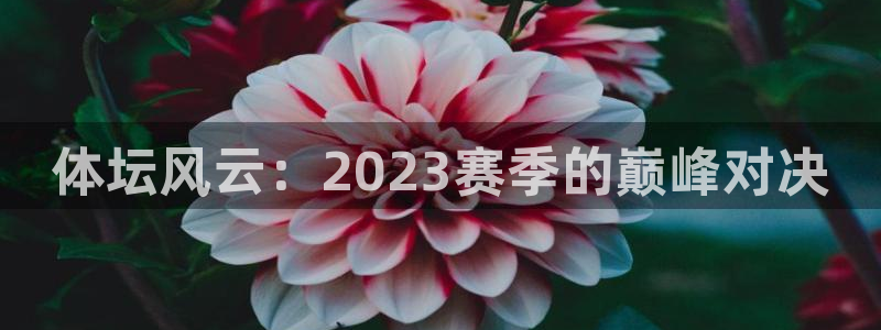 88看球直播：体坛风云：2023赛季的巅峰对决