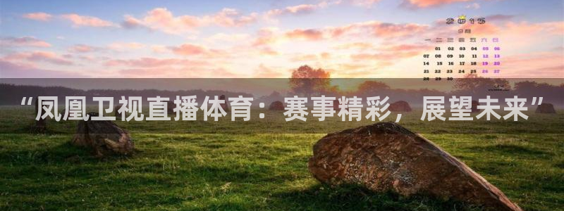 88看球直播体育：“凤凰卫视直播体育：赛事精彩，展望未来”