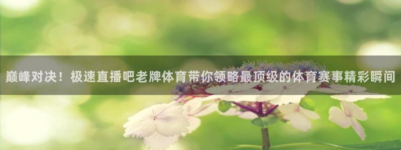 88看球直播：巅峰对决！极速直播吧老牌体育带你领略最顶级的体育赛事精彩瞬间