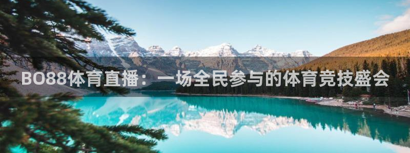 88看球直播nba免费官网：BO88体育直播：一场全民参与的体育竞技盛会