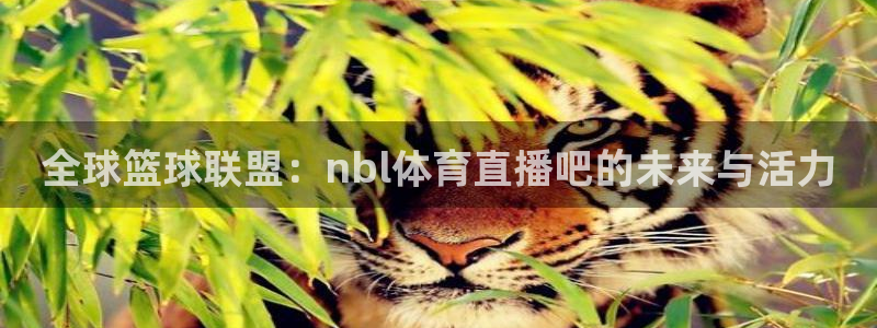 88看球体育：全球篮球联盟：nbl体育直播吧的未来与活力