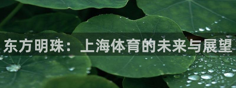 88看球直播无插件nba：东方明珠：上海体育的未来与展望