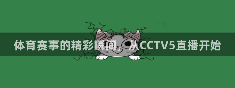 88看球直播官网：体育赛事的精彩瞬间，从CCTV5直播开始